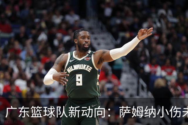 广东篮球队新动向：萨姆纳小伤未愈，狂欢嘉年华热力四射！